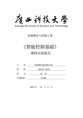 模糊试验报告洪帅