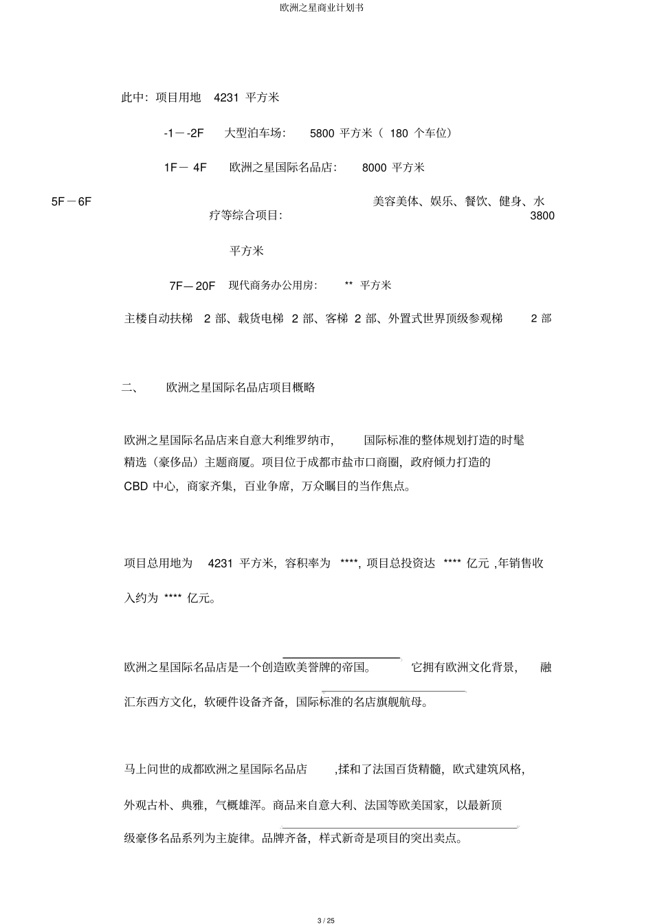 欧洲之星商业计划书_第3页