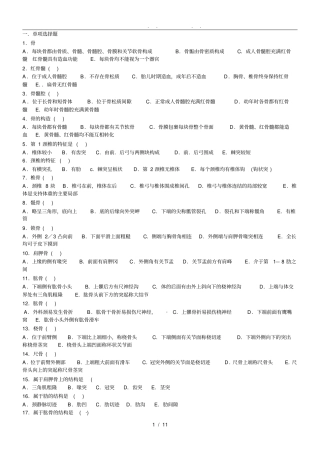 正常人体解剖学