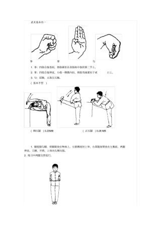 武术基本功一重点讲义资料