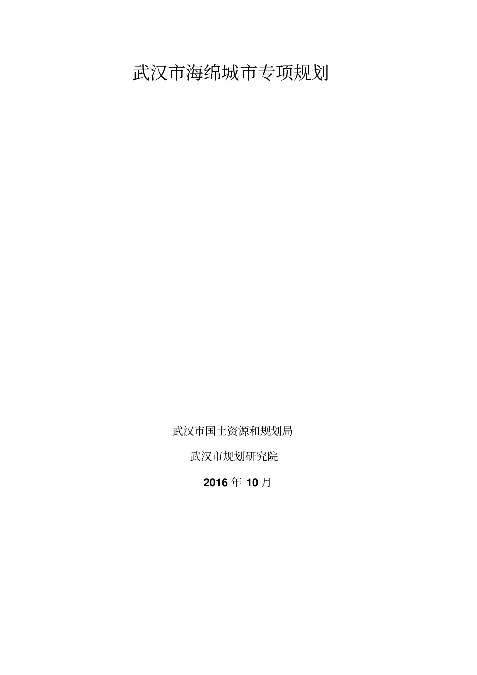 武汉海绵城专项规划_第1页
