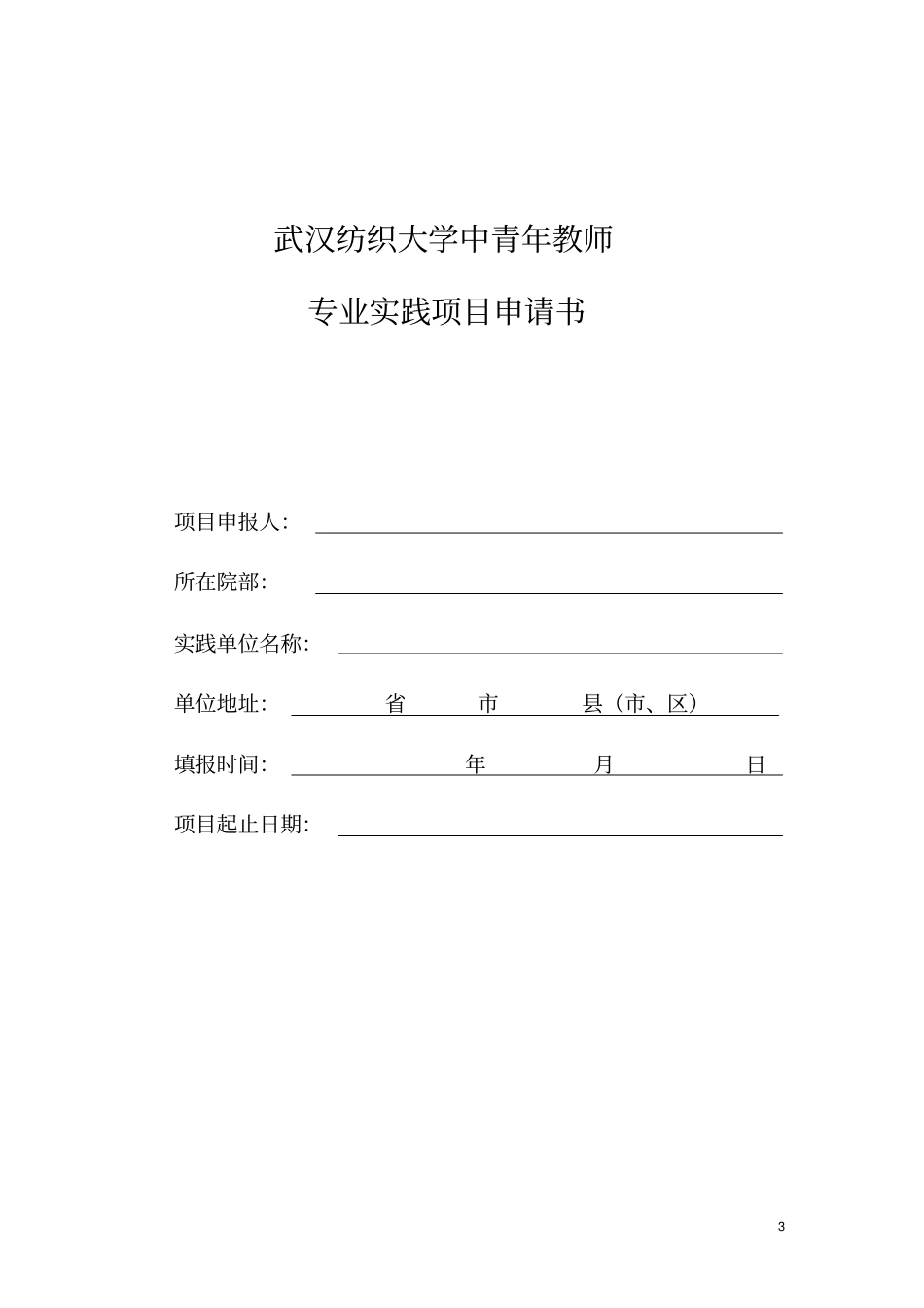 武汉纺织大学中青年教师专业实践能力培养补充规定_第3页