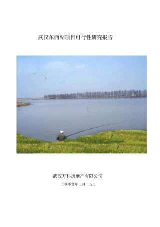 武汉金银湖房地产项目可行性研究报告
