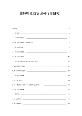 武汉鹿迪鞋业商贸城可行性研究