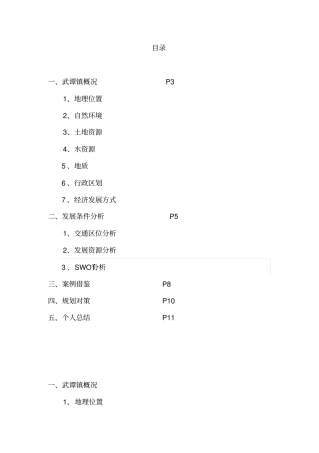 武谭总规调研报告