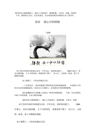 母亲我心中胡杨应用