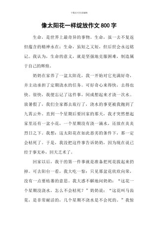 像太阳花一样绽放作文800字