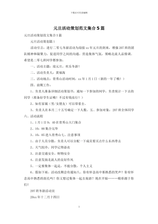 元旦活动策划范文集合5篇