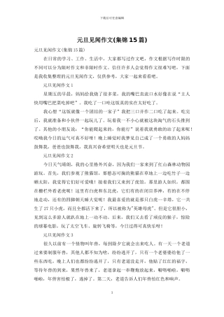 元旦见闻作文