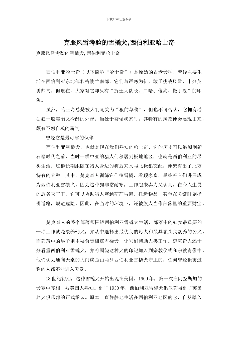 克服风雪考验的雪橇犬-西伯利亚哈士奇_第1页