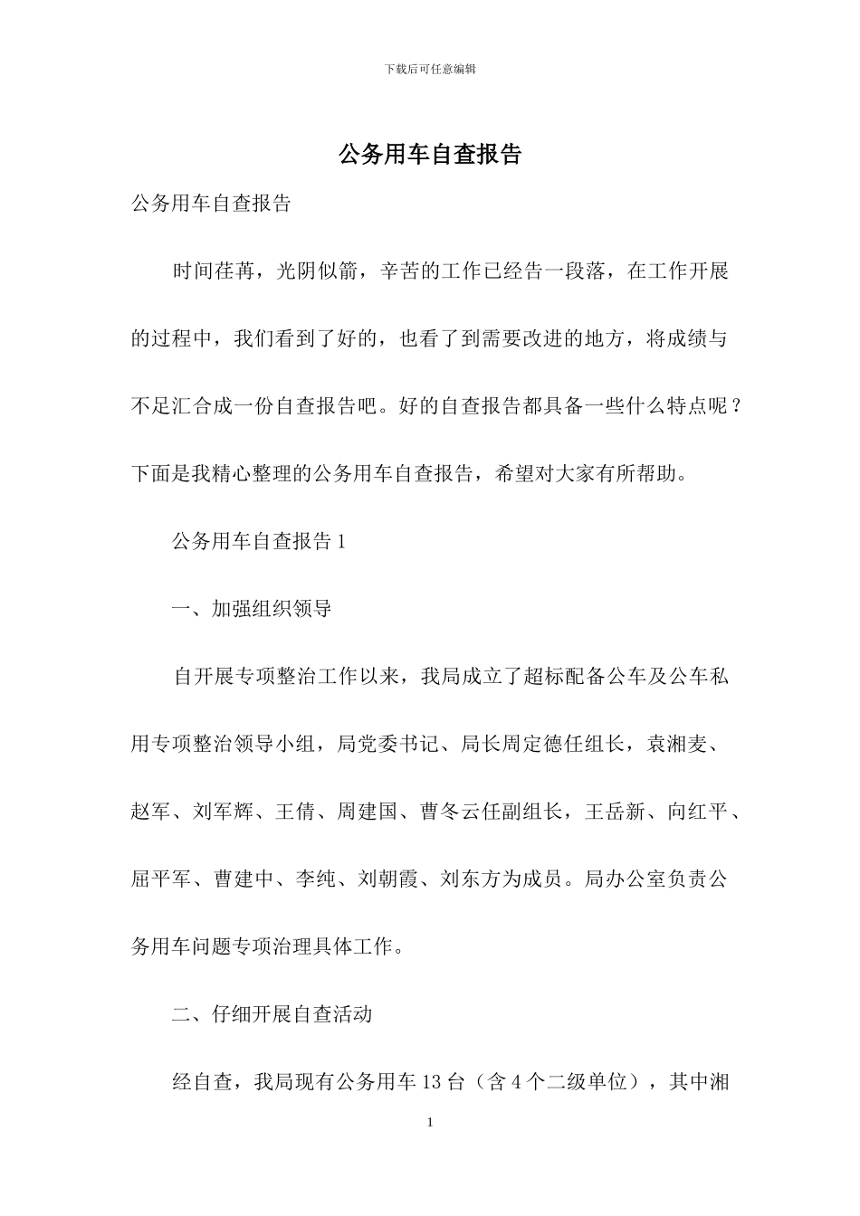 公务用车自查报告_第1页