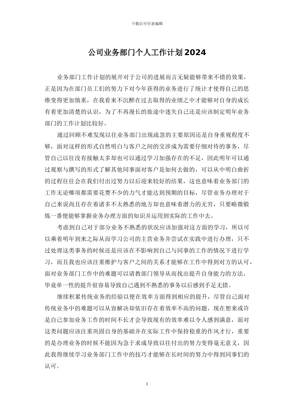 公司业务部门个人工作计划2024_第1页
