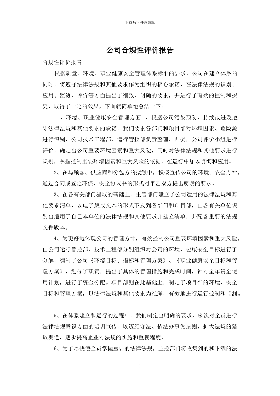 公司合规性评价报告_第1页