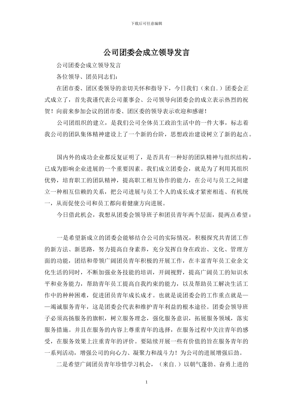 公司团委会成立领导发言_第1页