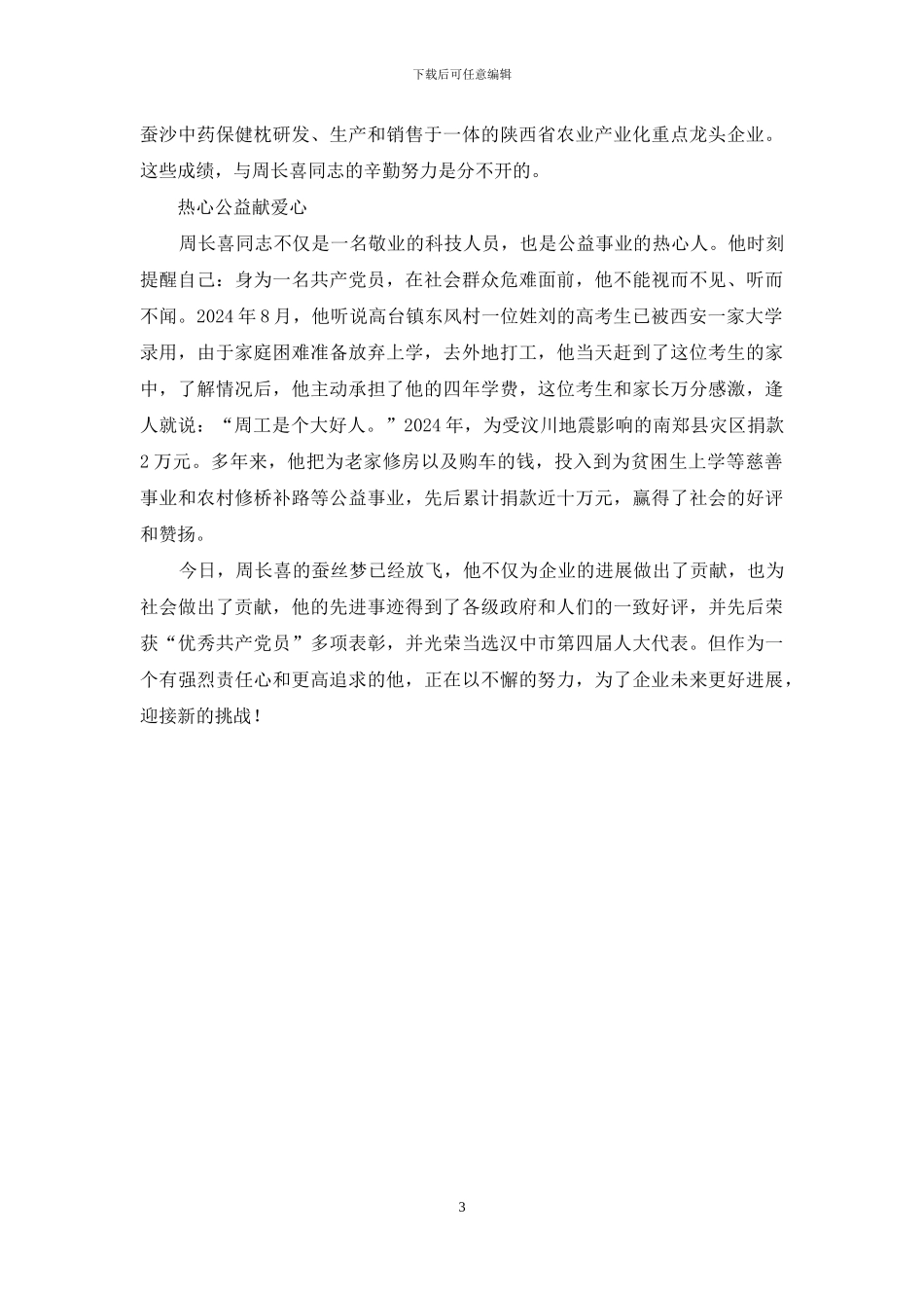 公司技术总监主要事迹_第3页