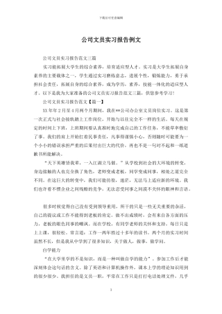公司文员实习报告例文