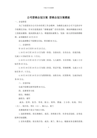 公司营销企划方案-营销企划方案模板