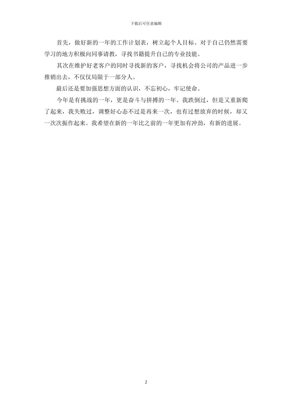 公司销售员个人年终工作总结_第2页