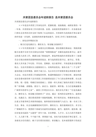 共青团县委员会年述职报告-县共青团委员会