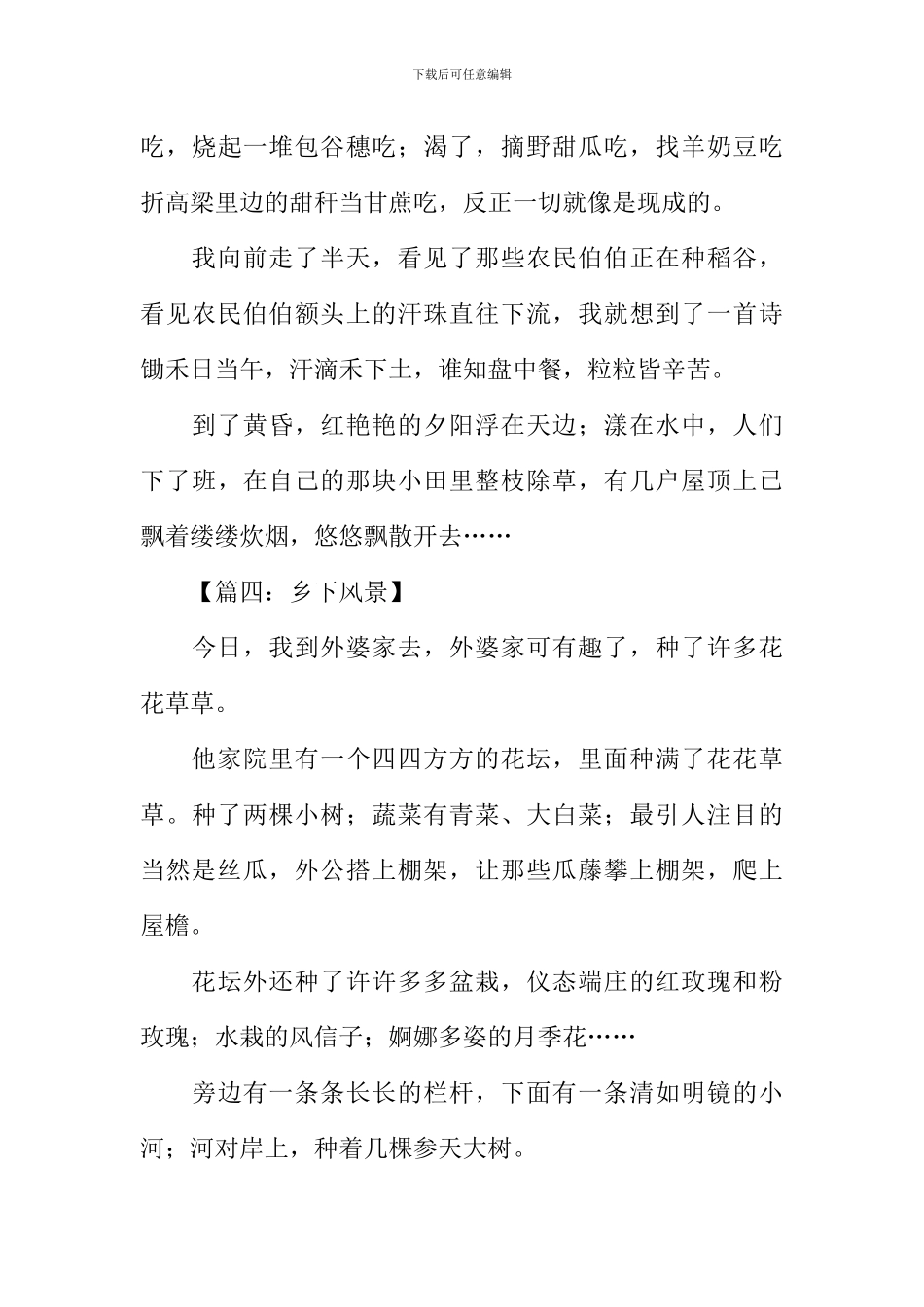 关于乡村美景的作文-1_第3页