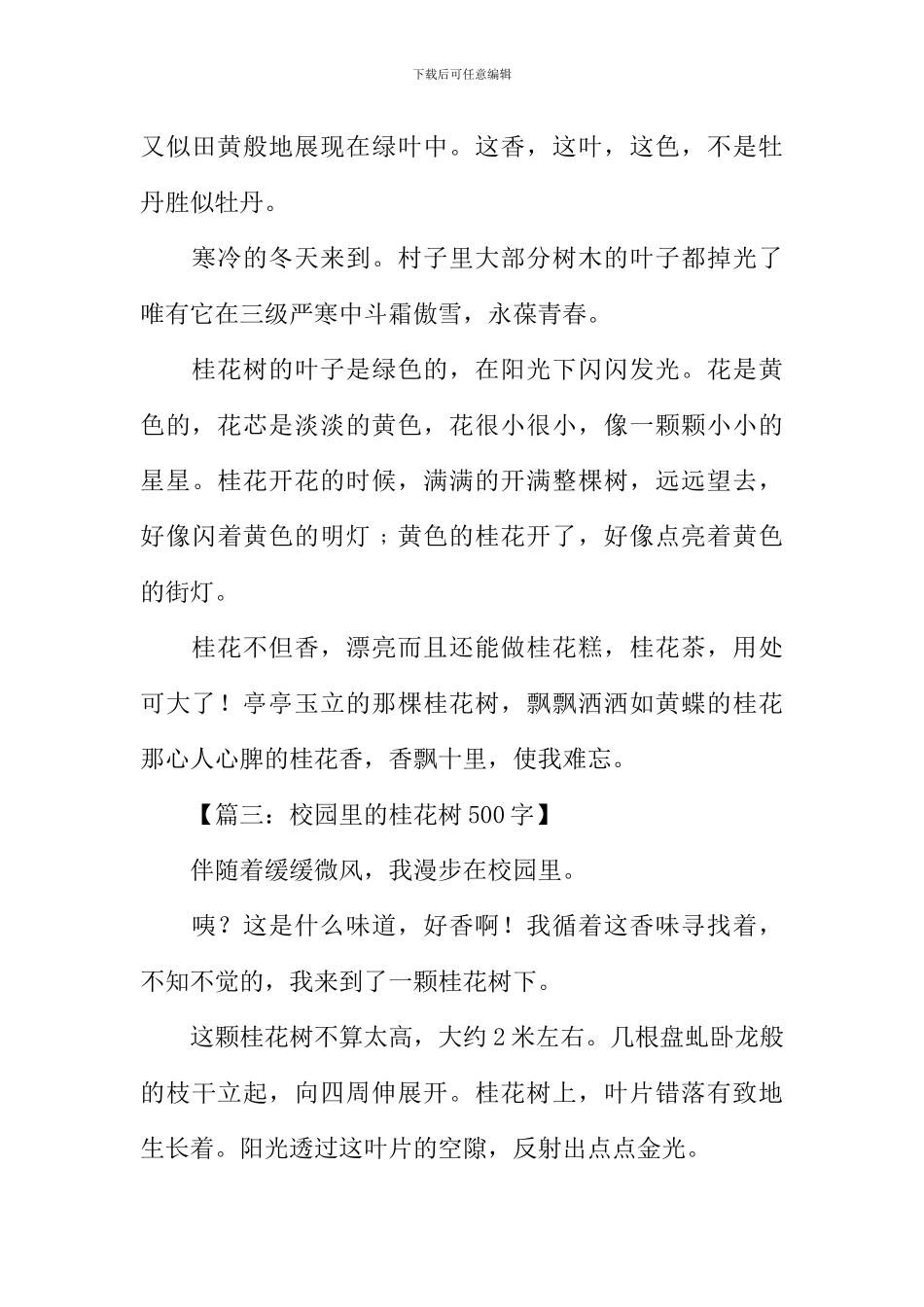 关于写桂花树的作文_第3页
