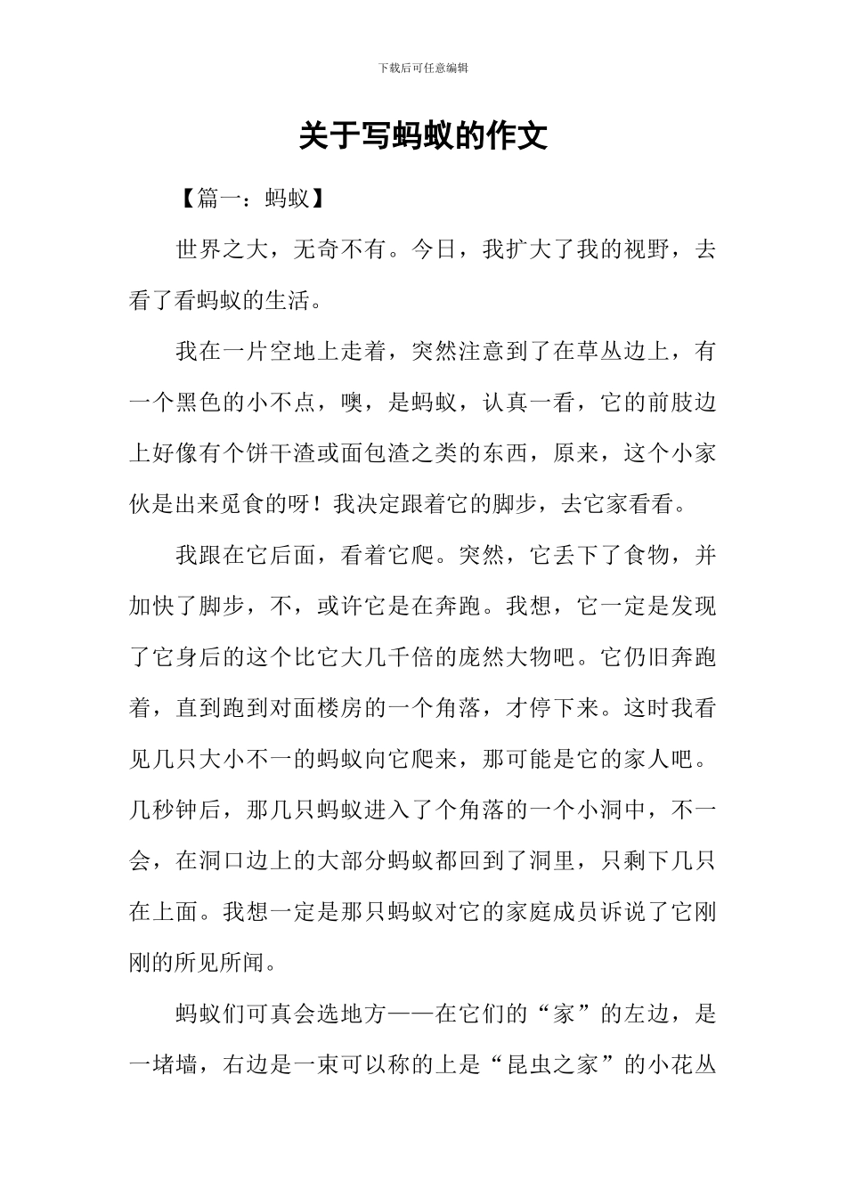 关于写蚂蚁的作文-1_第1页