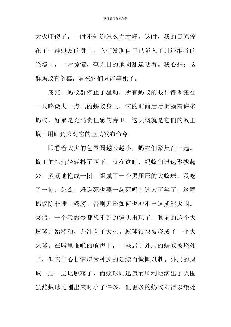 关于写蚂蚁的作文-1_第3页