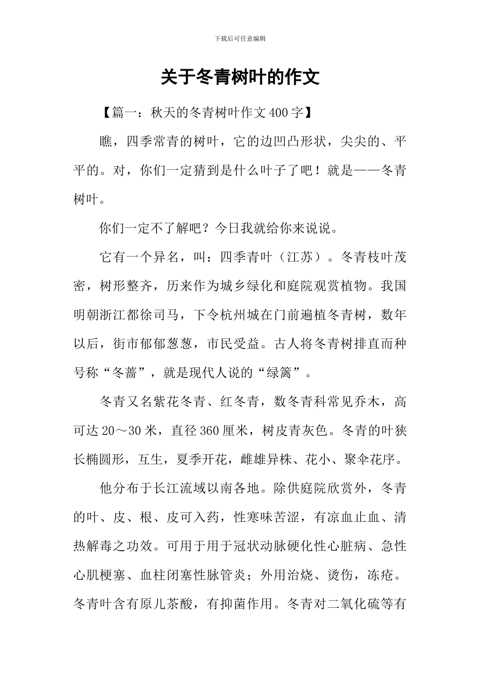 关于冬青树叶的作文_第1页
