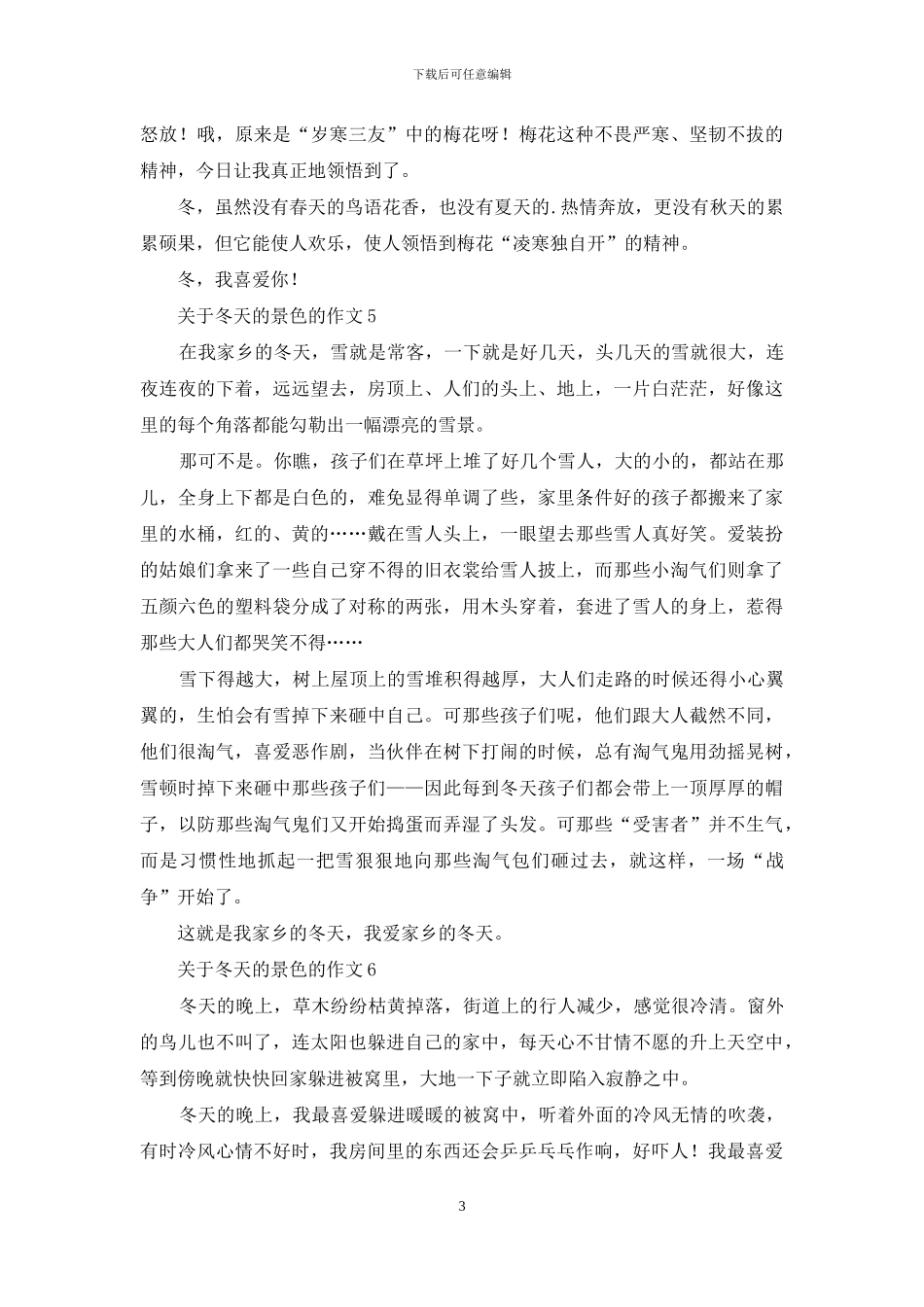 关于冬天的景色的作文-1_第3页