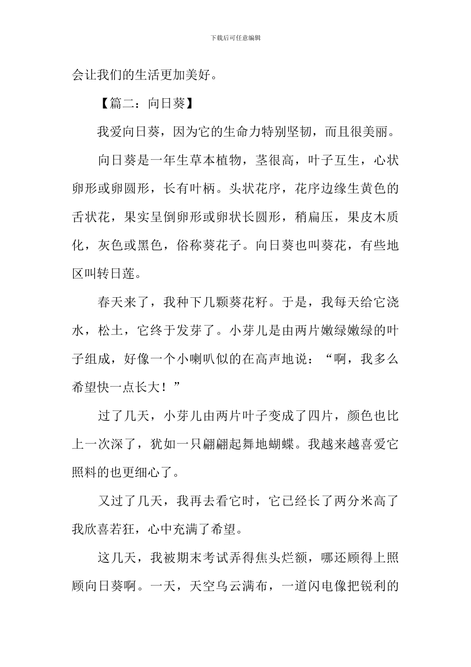 关于向日葵的作文_第2页
