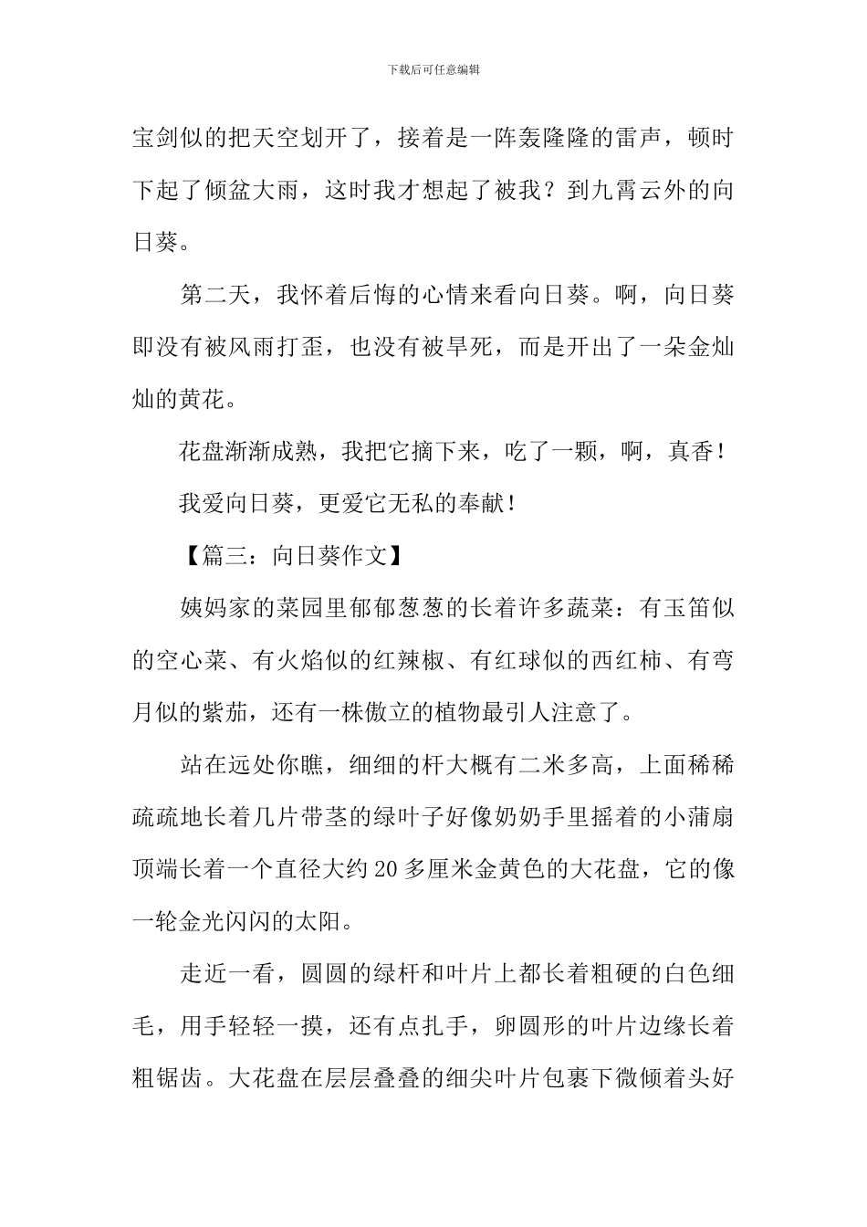 关于向日葵的作文_第3页