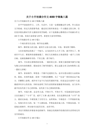 关于小升初满分作文400字锦集八篇
