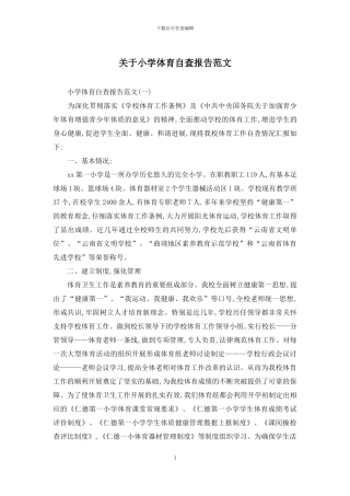 关于小学体育自查报告范文