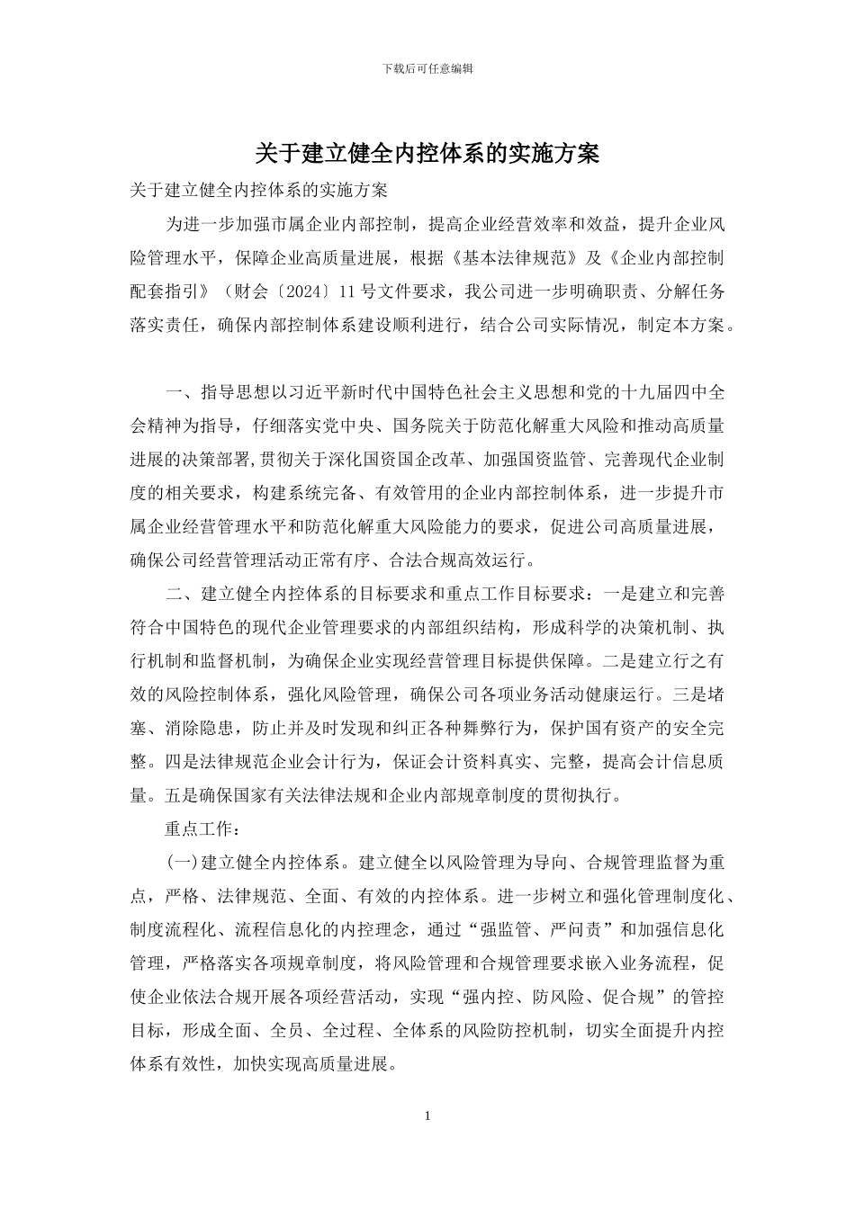 关于建立健全内控体系的实施方案_第1页