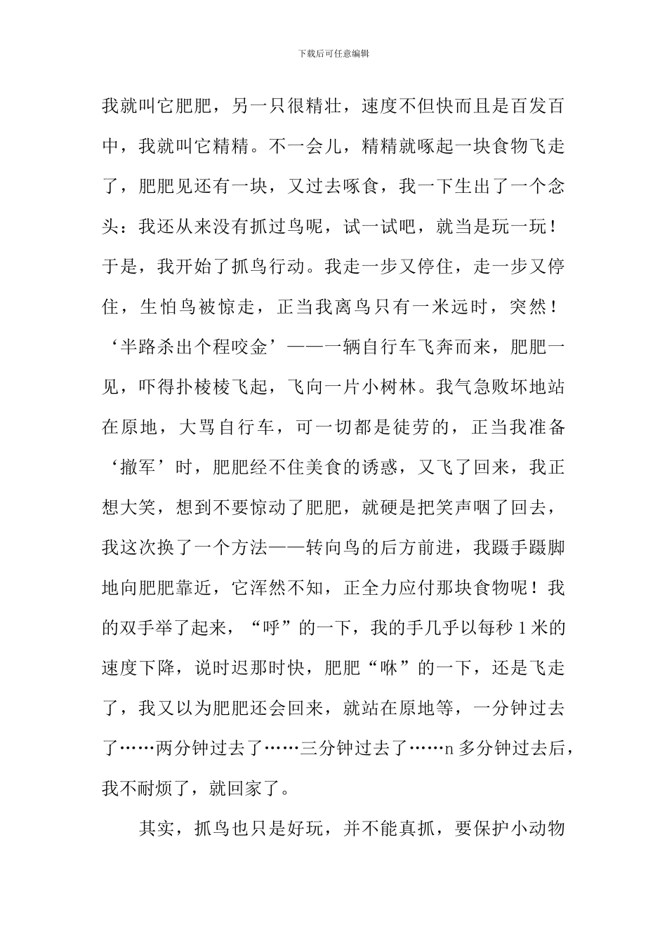 关于抓鸟的作文_第3页