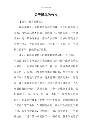 关于抓鸟的作文