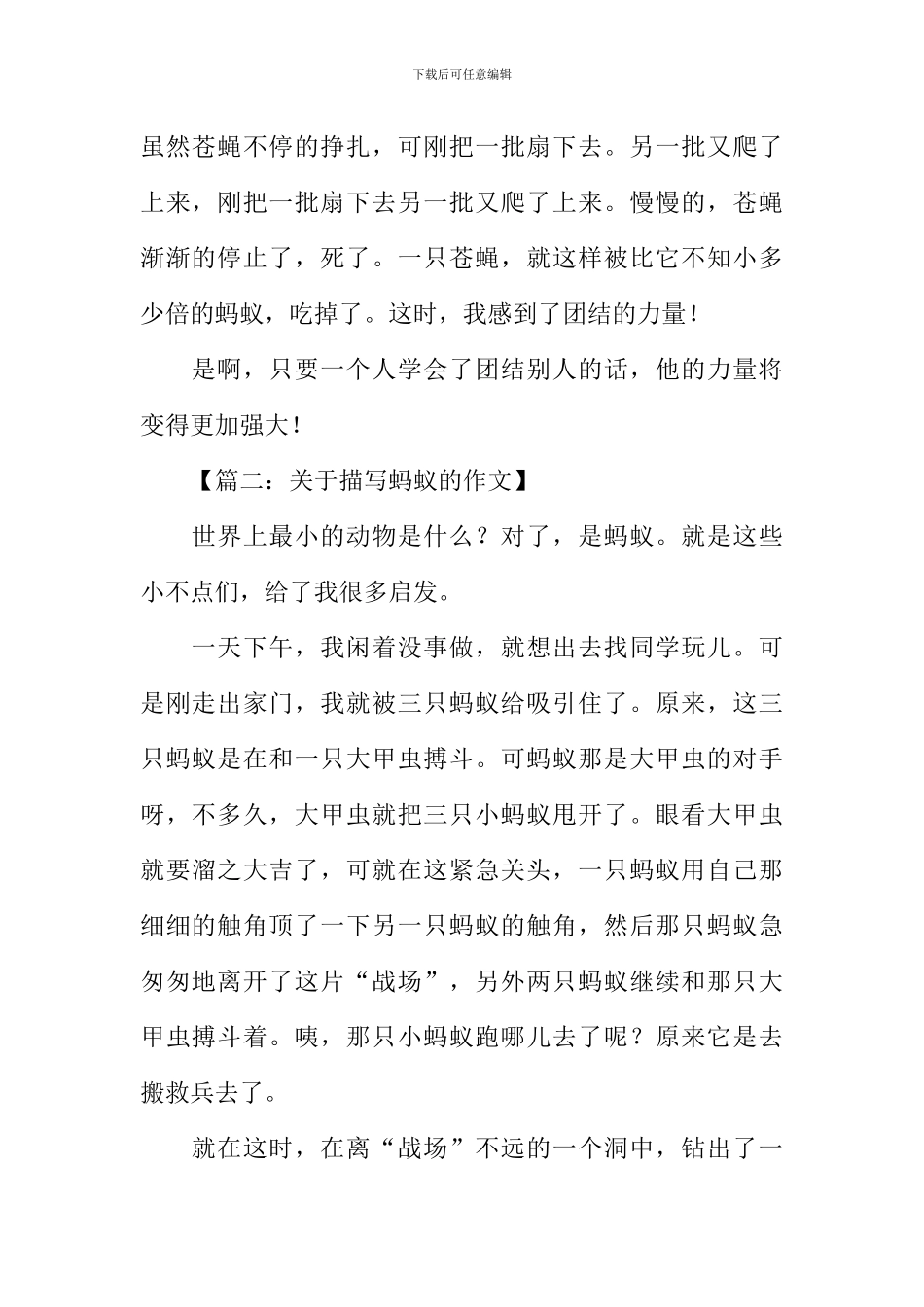 关于描写蚂蚁的作文-2_第2页