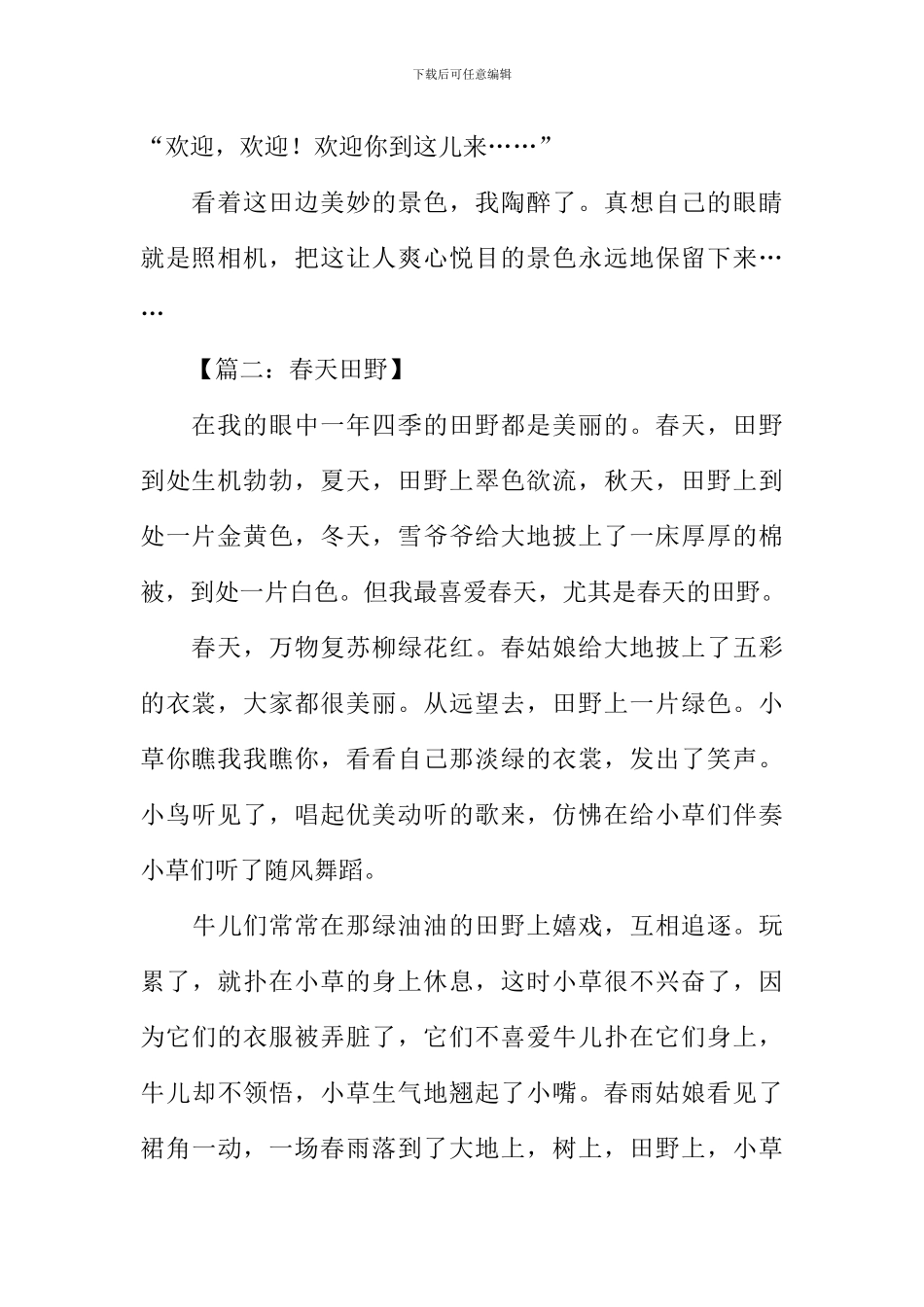 关于春天田野的作文_第2页