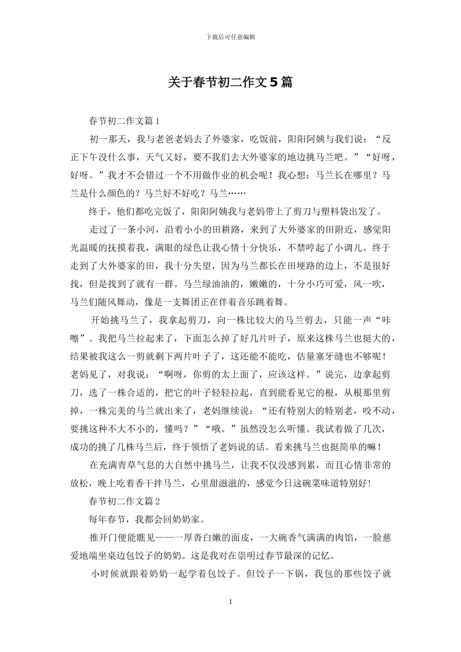 关于春节初二作文5篇_第1页