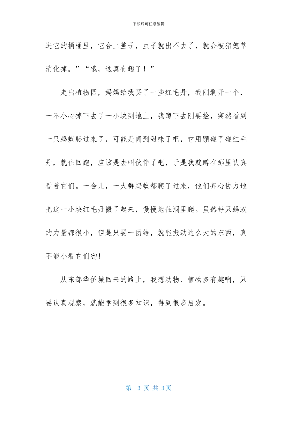 关于有趣动物作文三篇_第3页