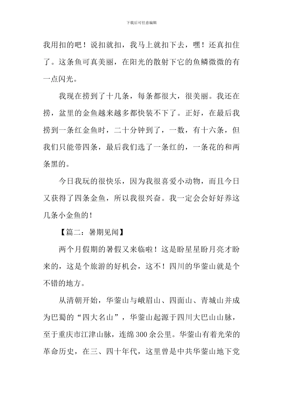 关于暑期见闻的作文_第2页