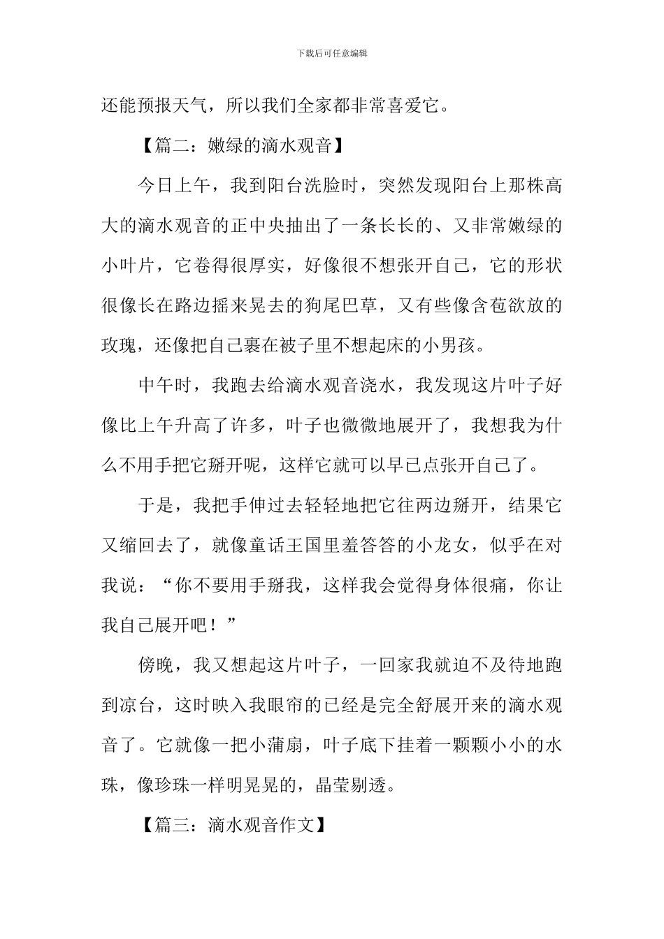 关于滴水观音的作文-1_第2页