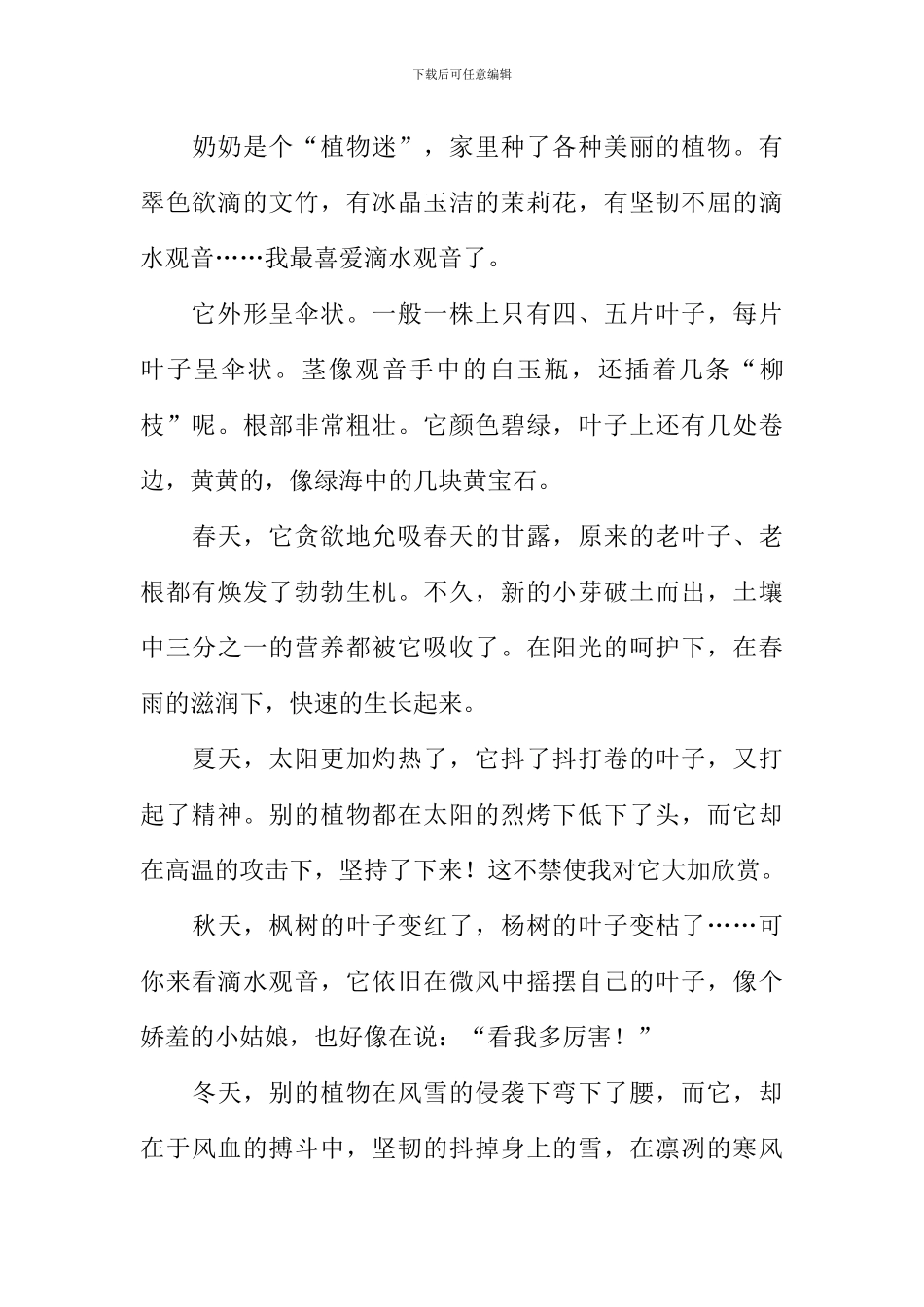 关于滴水观音的作文-1_第3页