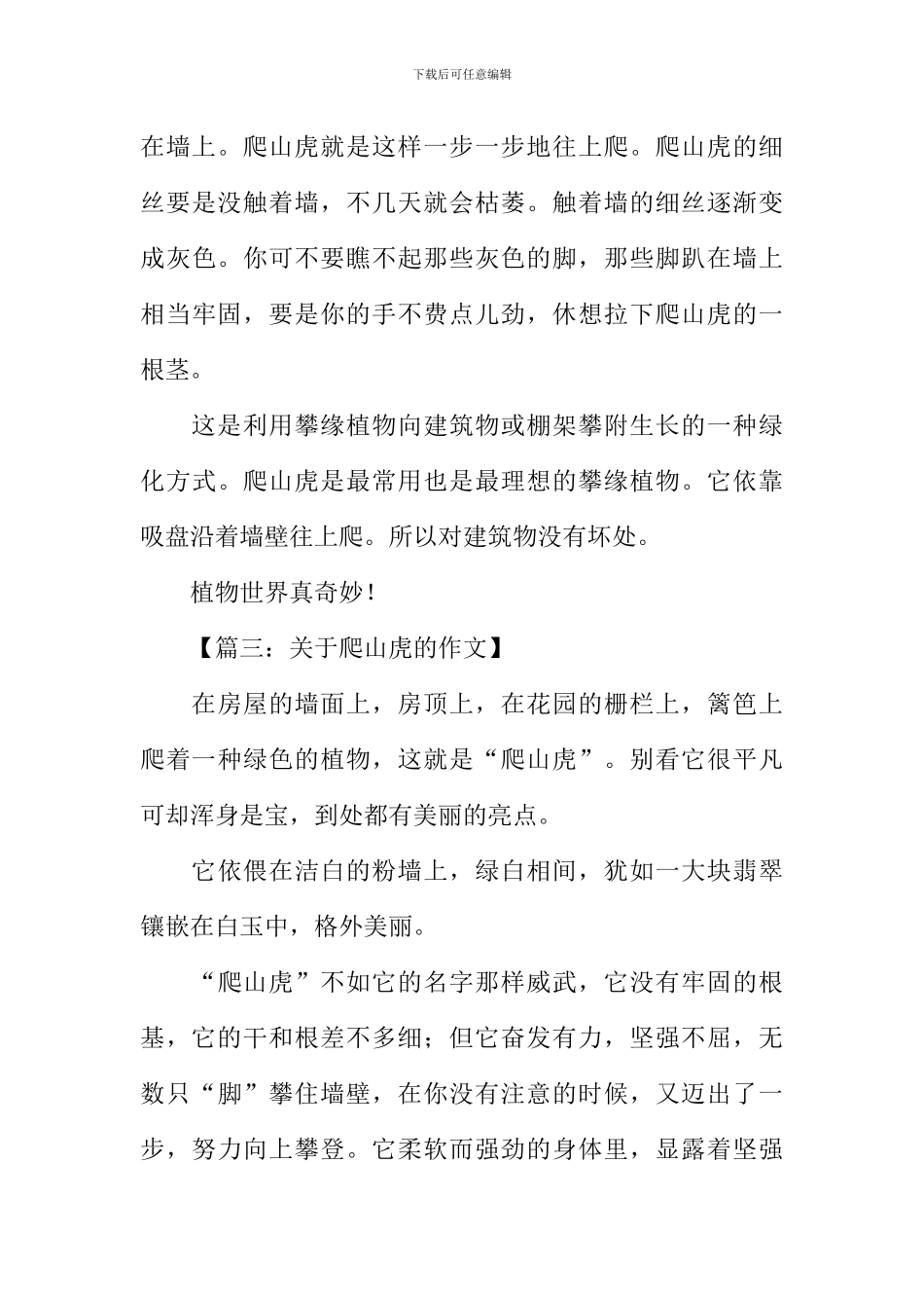 关于爬山虎的作文_第3页