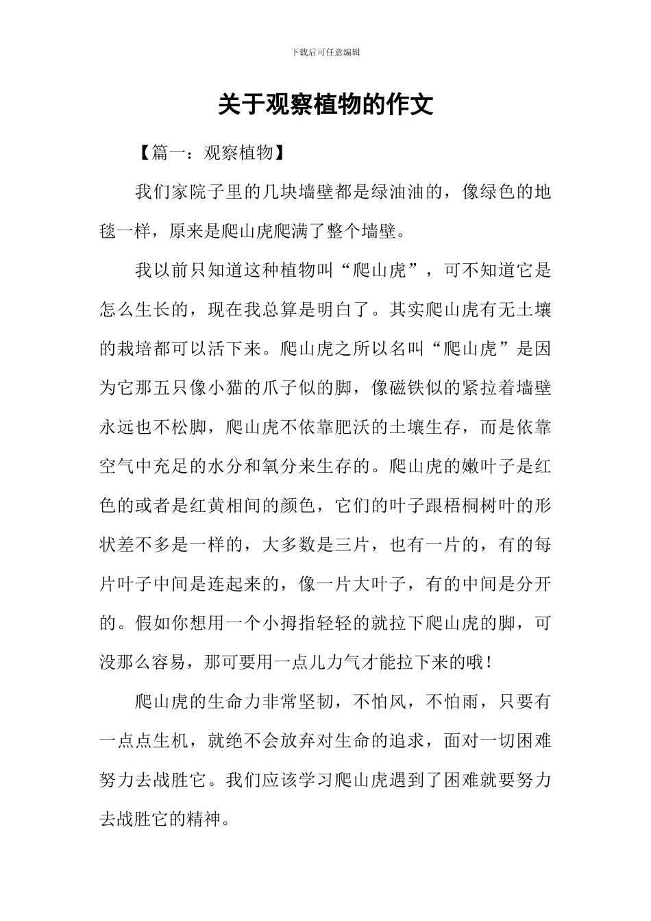 关于观察植物的作文_第1页