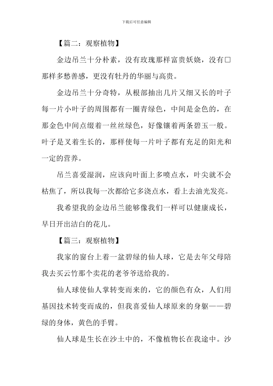 关于观察植物的作文_第2页