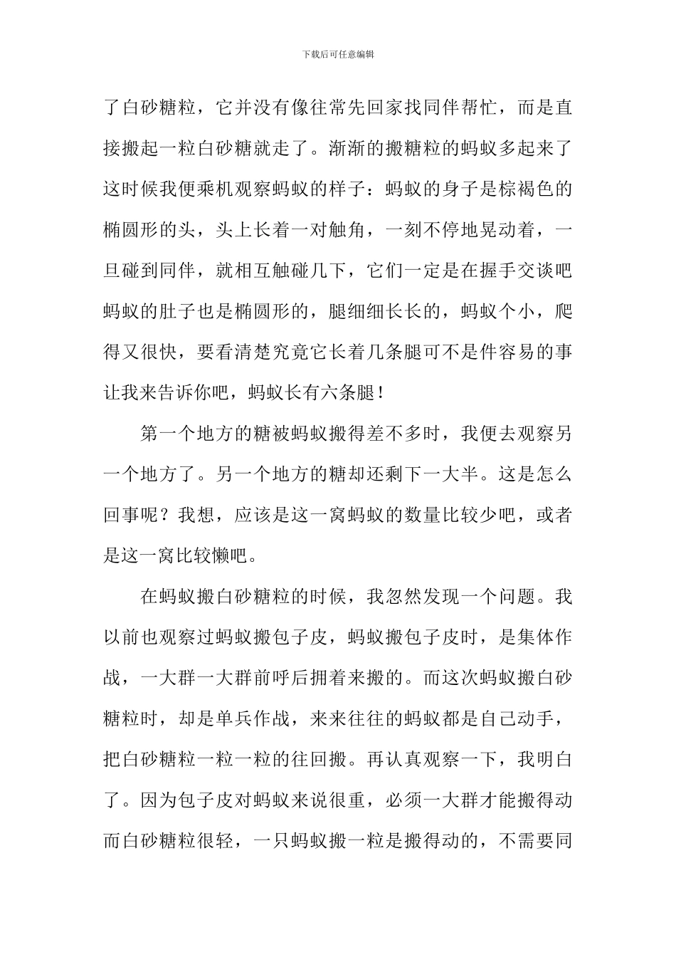 关于观察蚂蚁的作文_第3页