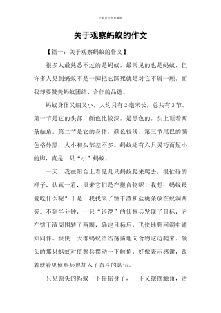 关于观察蚂蚁的作文