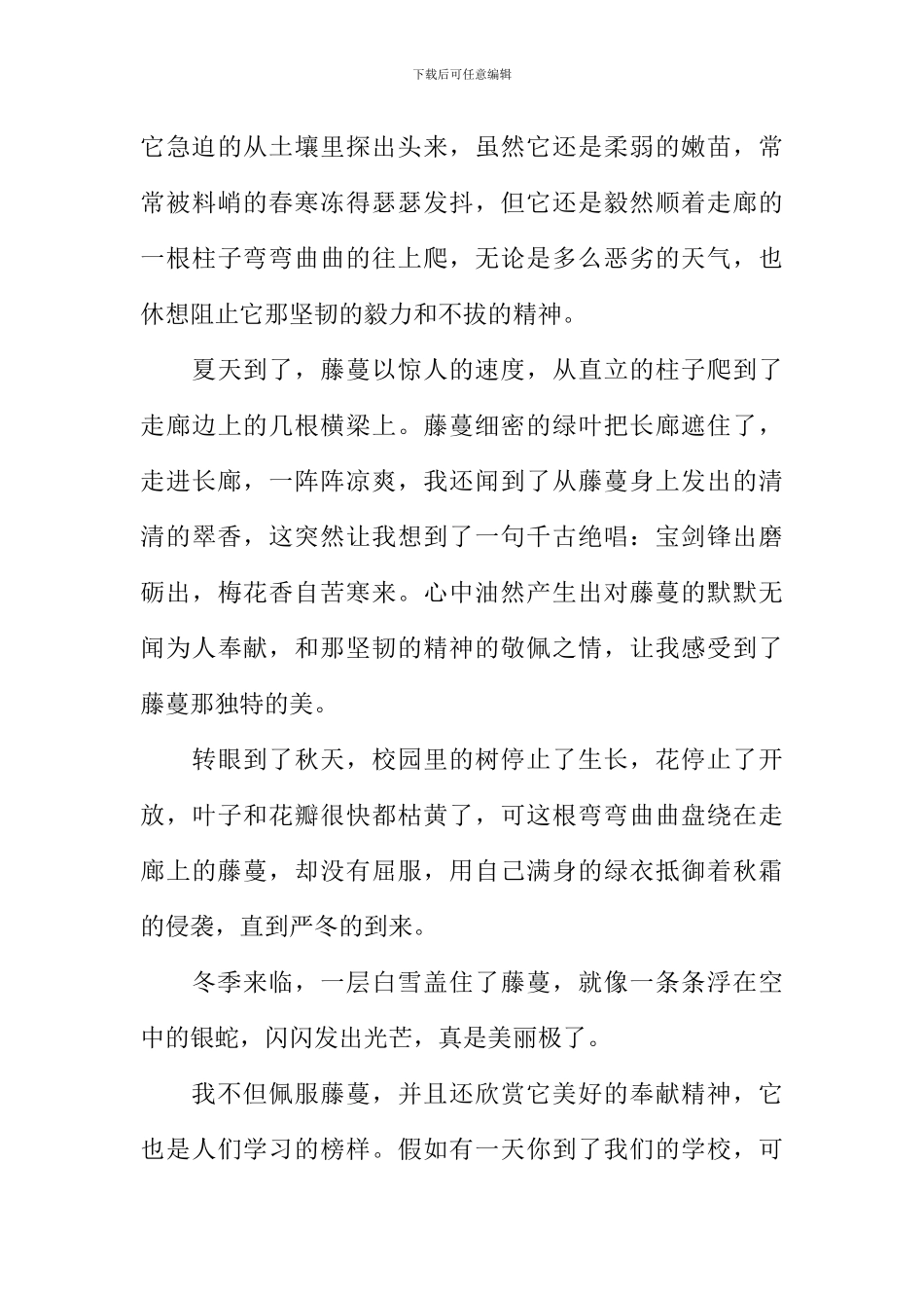 关于藤蔓的作文_第3页