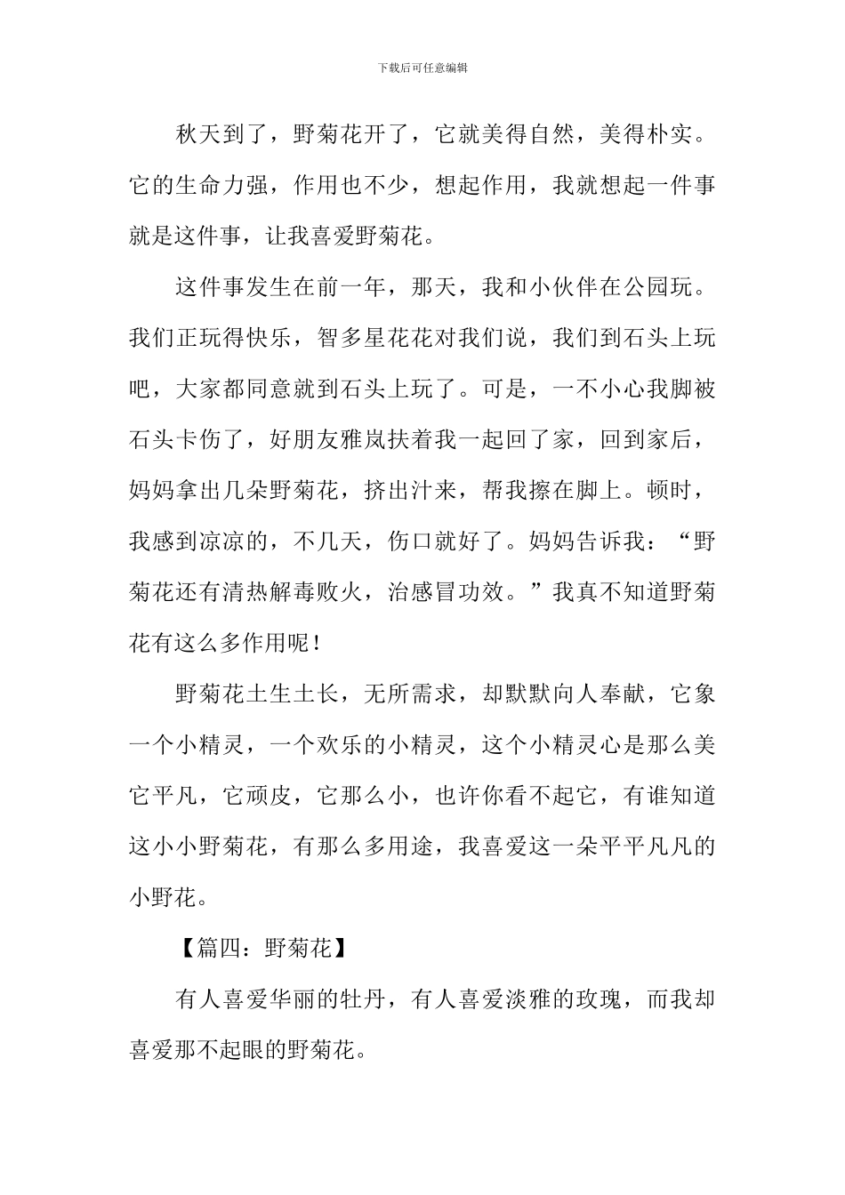 关于野菊花的作文_第3页